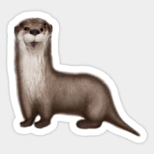 Cute Otter Drawing Sticker